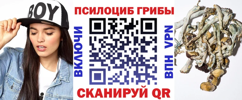 Псилоцибиновые грибы MAGIC MUSHROOMS  нарко площадка как зайти  Приморско-Ахтарск 