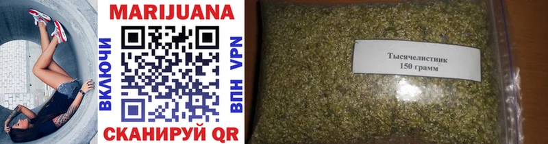 Каннабис OG Kush Приморско-Ахтарск